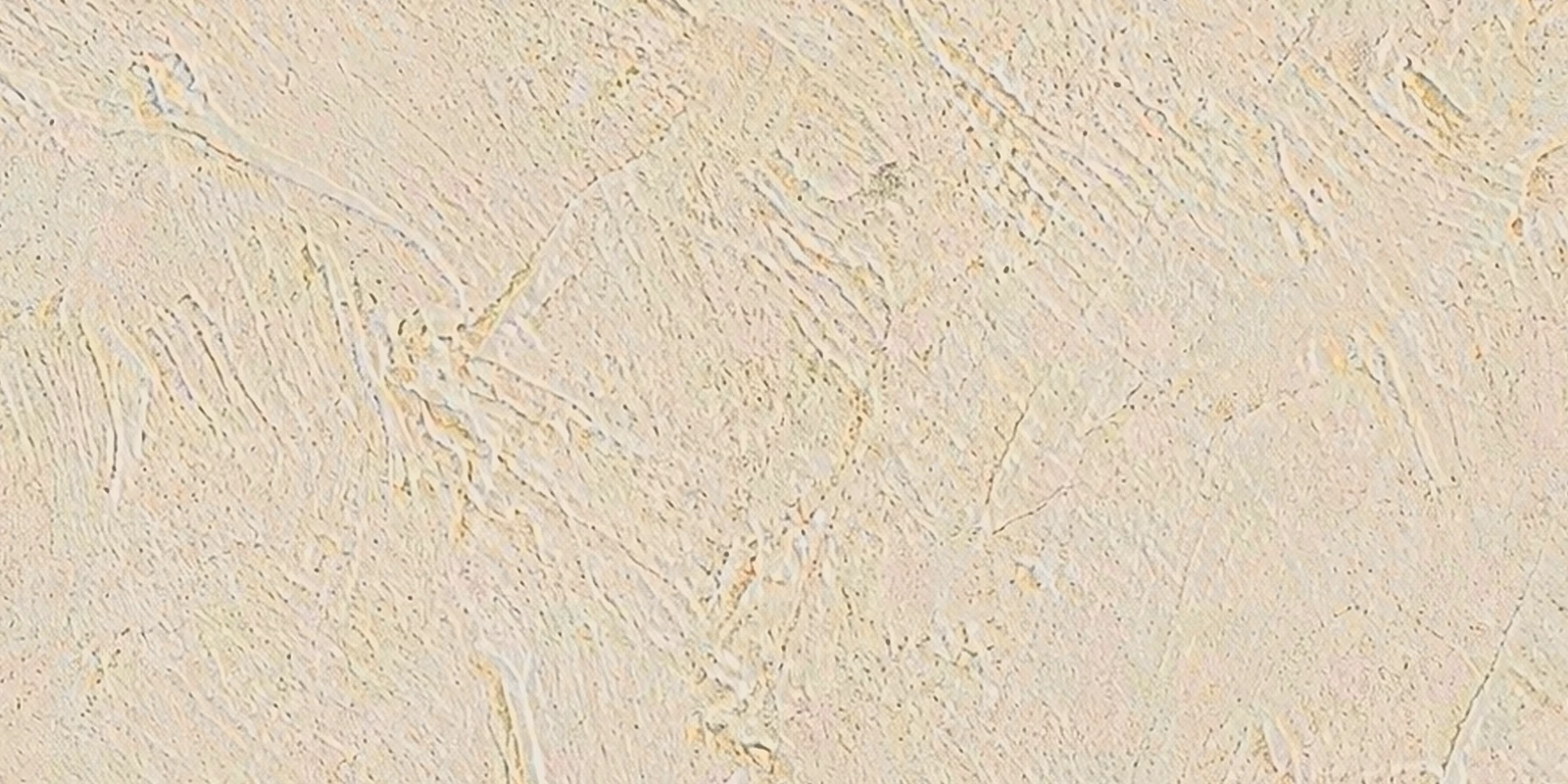 Updated WallPlaster 01 with detailed trowel marks and fine cracks